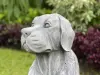 Artikelbild 8 des Artikels “Henry - Hund, sitzend, 65 cm H | Steinguss “
